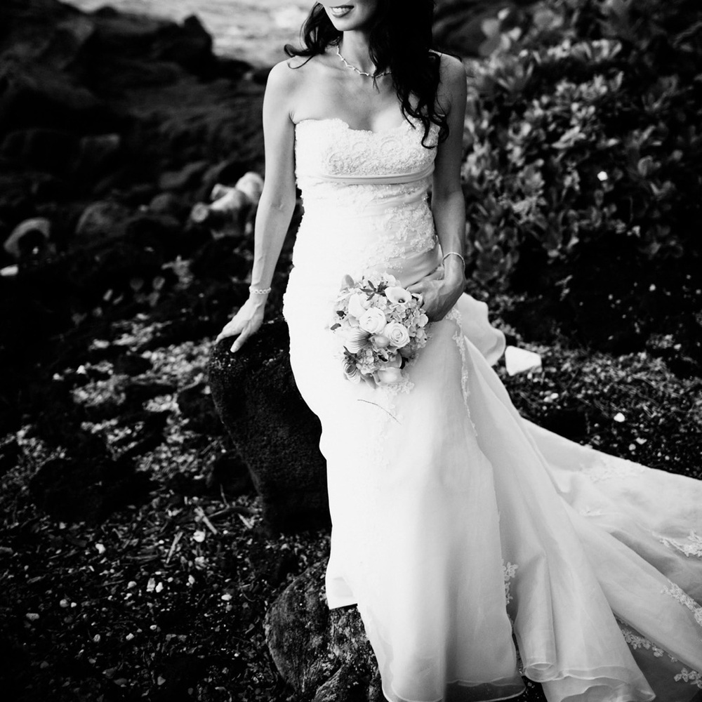 Ivory Pronovias Lace and Crystal Beaded Wedding Gown
